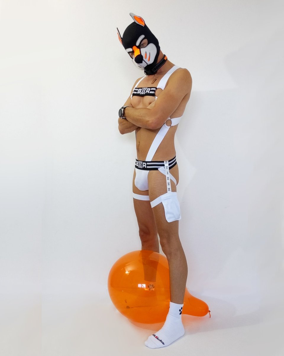 Pup Swatch tweet media