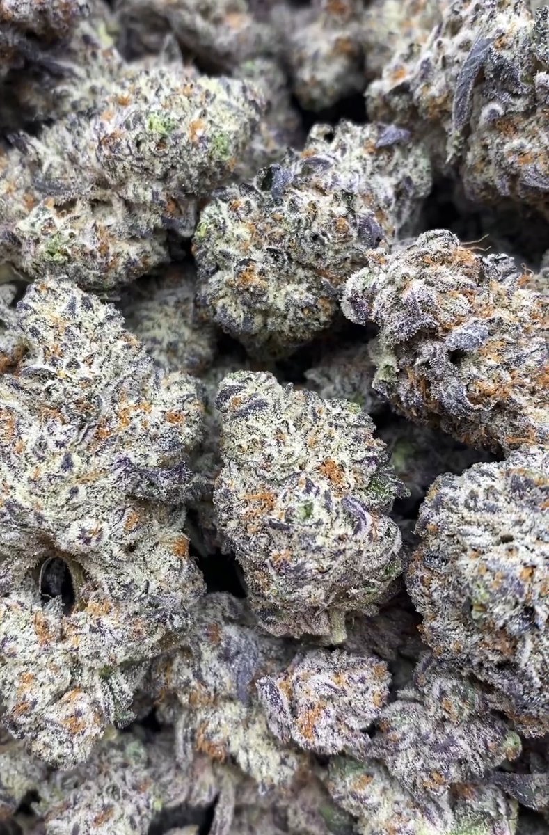 Tree House Pack tweet media