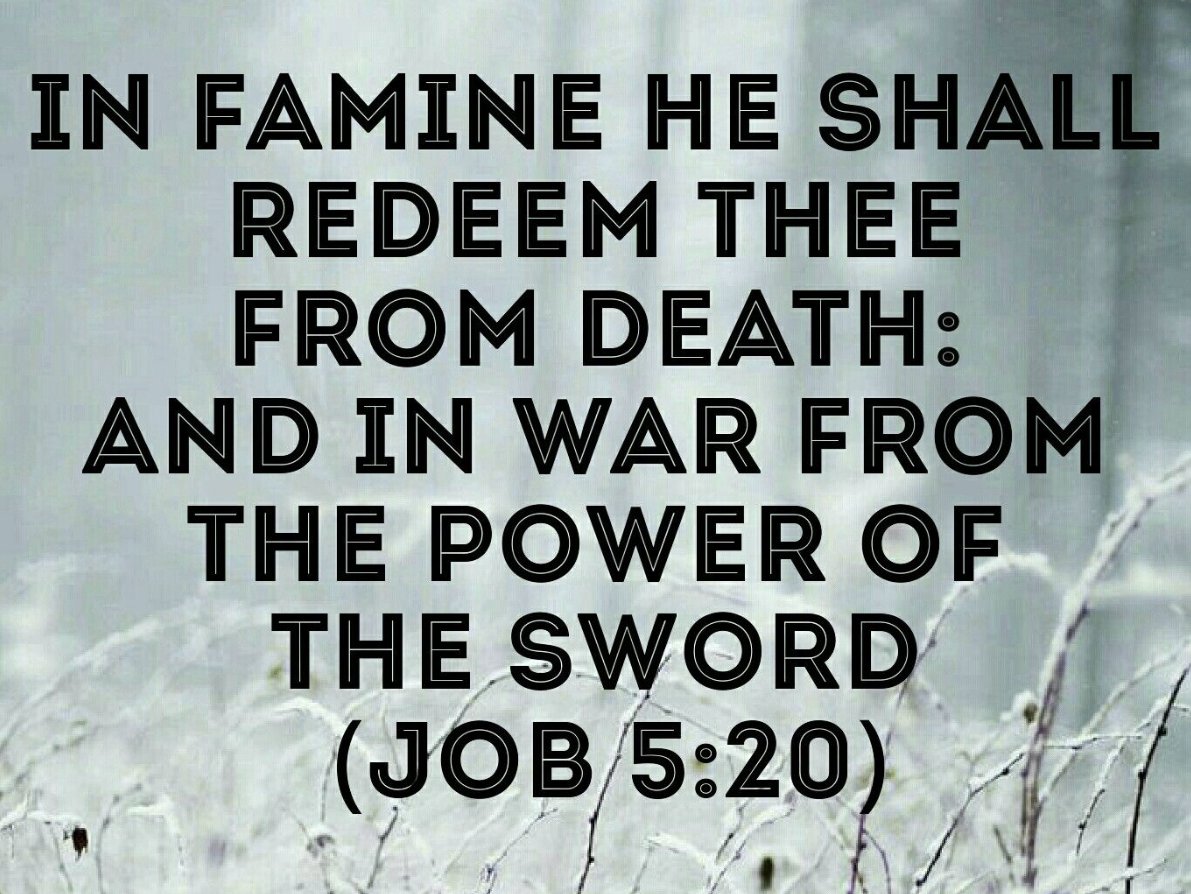 TimeTravelTrader (@timetravtrader) on Twitter photo 