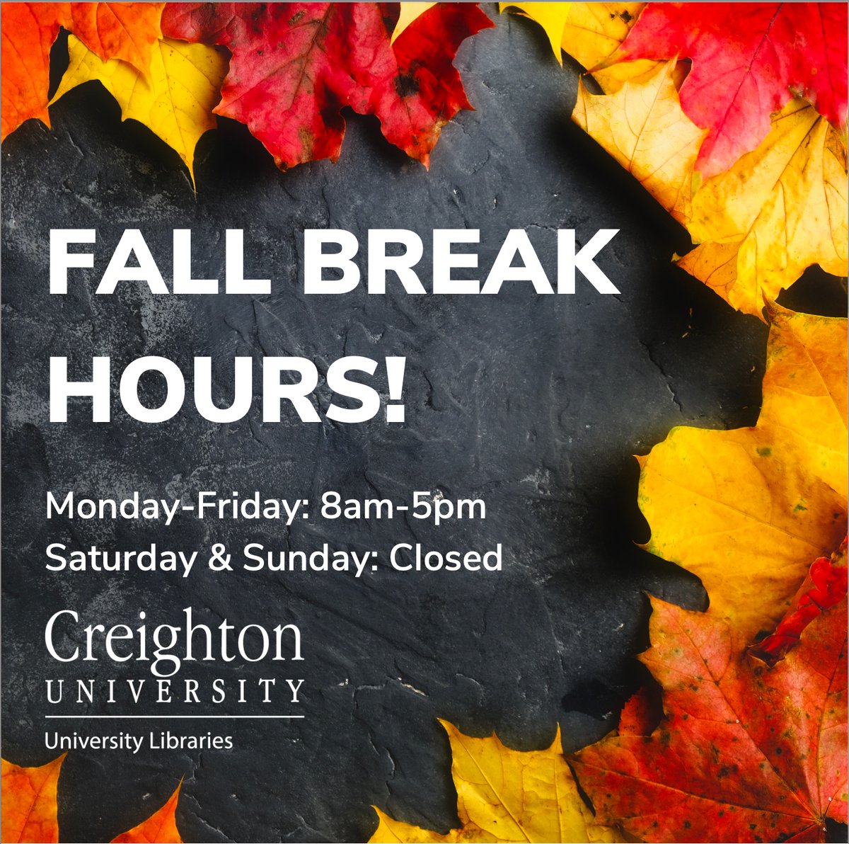 Our library is still open over break!

Whether you're enjoying your break time off with a good book, or want to start studying early, Reinert is here for you at these hours.

#creighton #creightonuniversity #bluejays #creightonlibrary #reinertalumnilibrary #fallbreak #newhours
