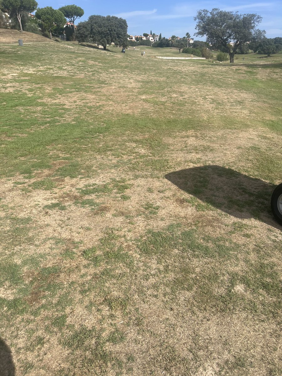 <a href="/golfbreaks/">Golfbreaks ⛳️</a>  are you serious golf weekend in Seville and you put us on this WTF