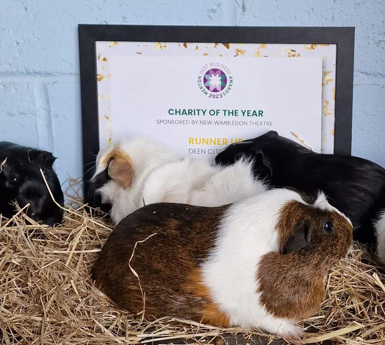 We had a great night at the @MertonBest  yesterday and are very excited to be this years runner up for #CharityoftheYear Award! 
Some of the animals have been checking out the certificate, we think they approve!

Congratulations to all the finalists and winners!