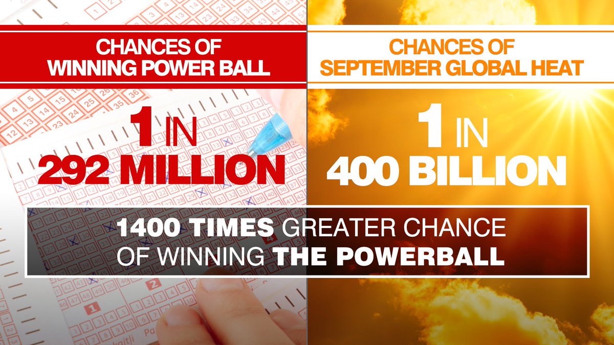 ZoomRadar tweet media