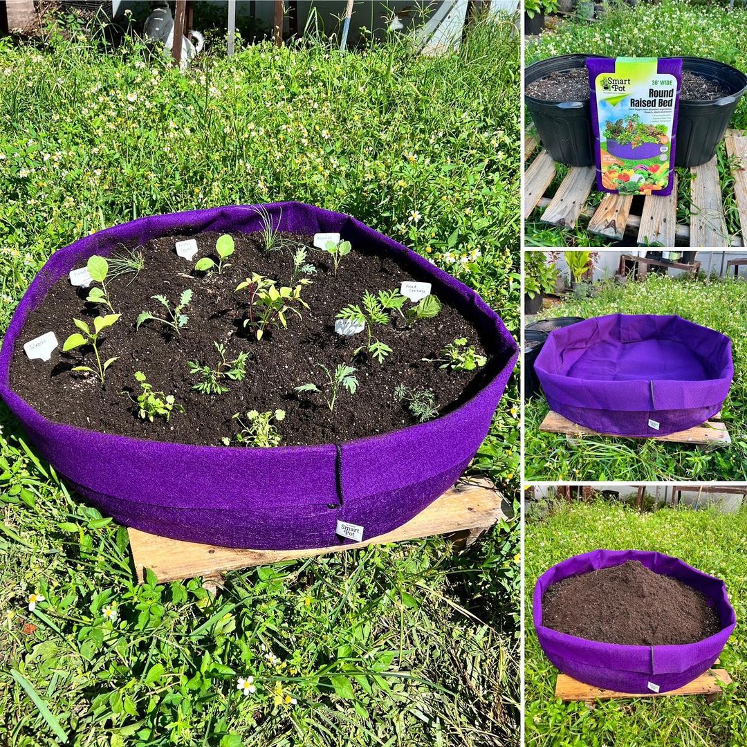Oxana adds a pop of color to her Miami garden with a Smart Pot Round Raised Bed in Bright Violet!

Made of the same patented Smart Pot GeoTextile Fabric, this Raised Bed will easily withstand over 5 years of Florida weather.

Save 10% with code OXANA at smartpots.com/shop