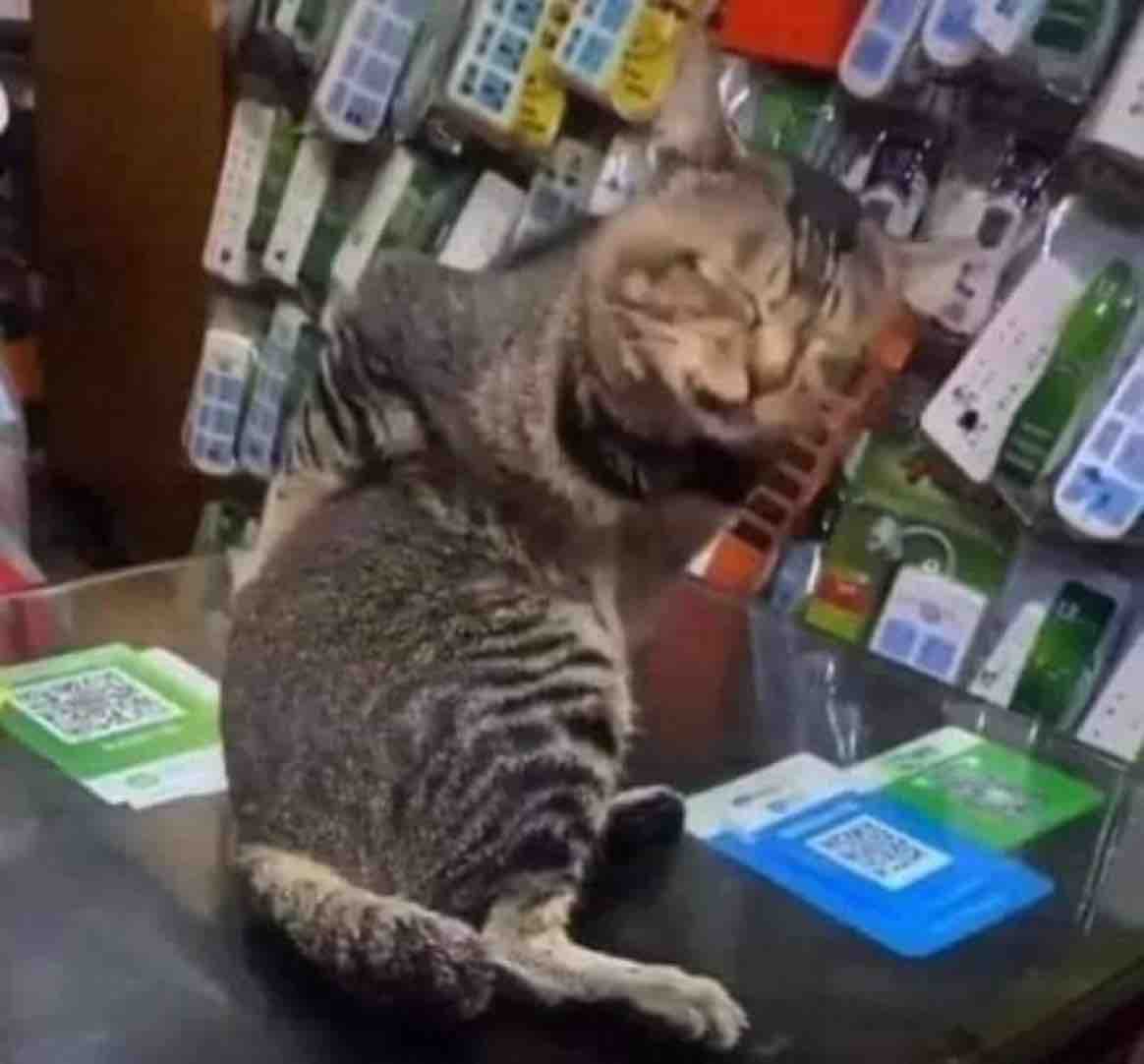 *Cumplo un año más* 

Mi espalda: