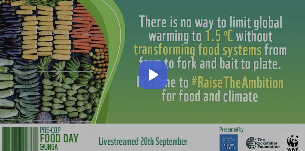 Watch the replay of "Food Day at UNGA" as part of #ClimateWeekNYC. Organized by <a href="/futureoffoodorg/">Global Alliance for the Future of Food</a>, <a href="/RockefellerFdn/">The Rockefeller Foundation</a>, &amp; <a href="/WWF/">WWF</a>. Now available in several languages including:

English: youtube.com/watch?v=3jPQ3K…
Spanish: youtube.com/watch?v=8OxVl7…
Portuguese: youtube.com/watch?v=_4s2ln…
French: