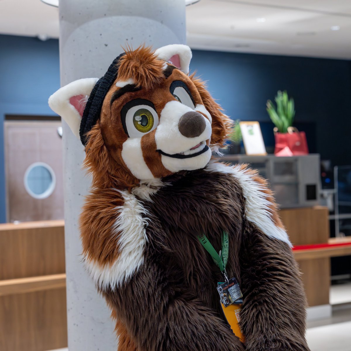 Who did you call cute? That can't be me!

📸 @TouWoof
#FursuitFriday #EF27 #Eurofurence27