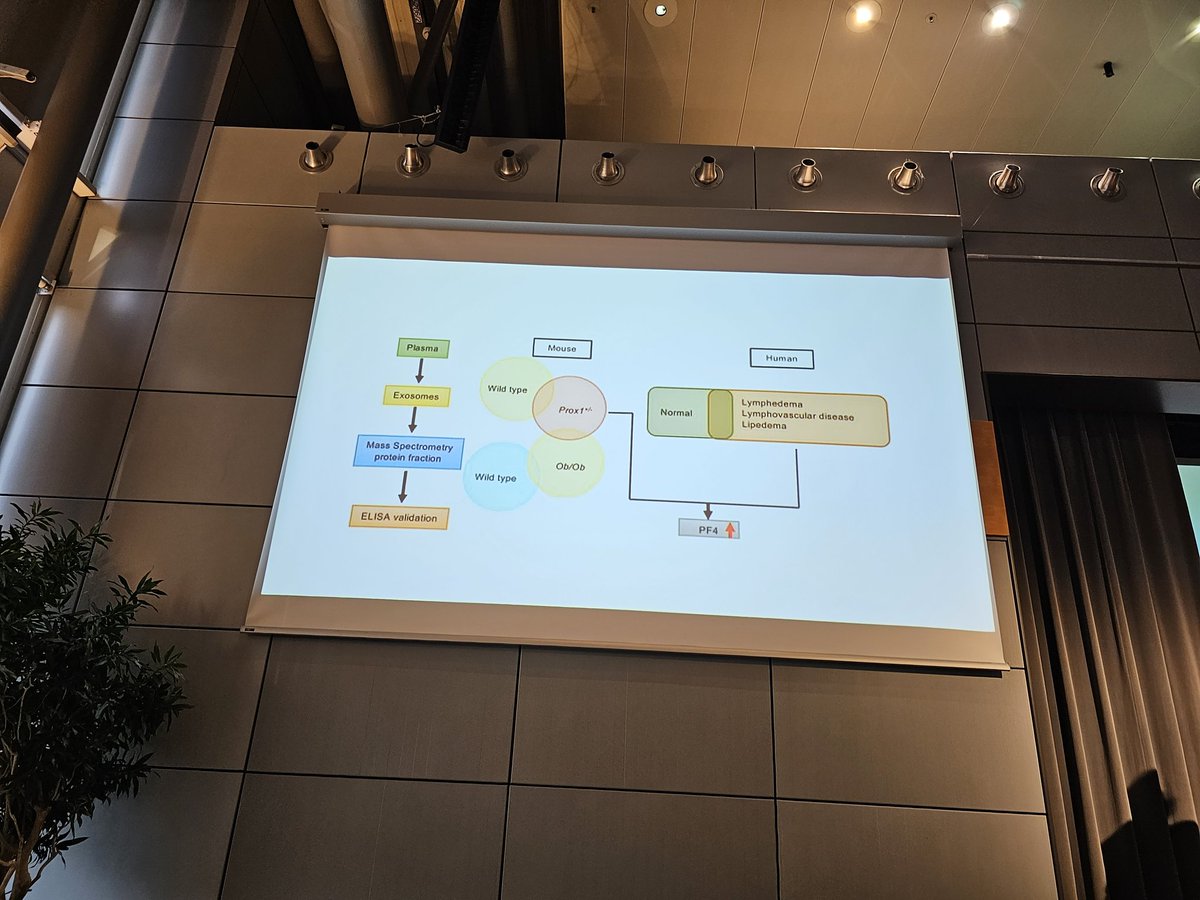 KateFrstr's tweet image. Always inspiring to hear Stanley Rockson talking about PF1 as a biomarker for the implications for #lipedema.
#LipedemaWorldCongress2023 #LipedemaWorldCongress