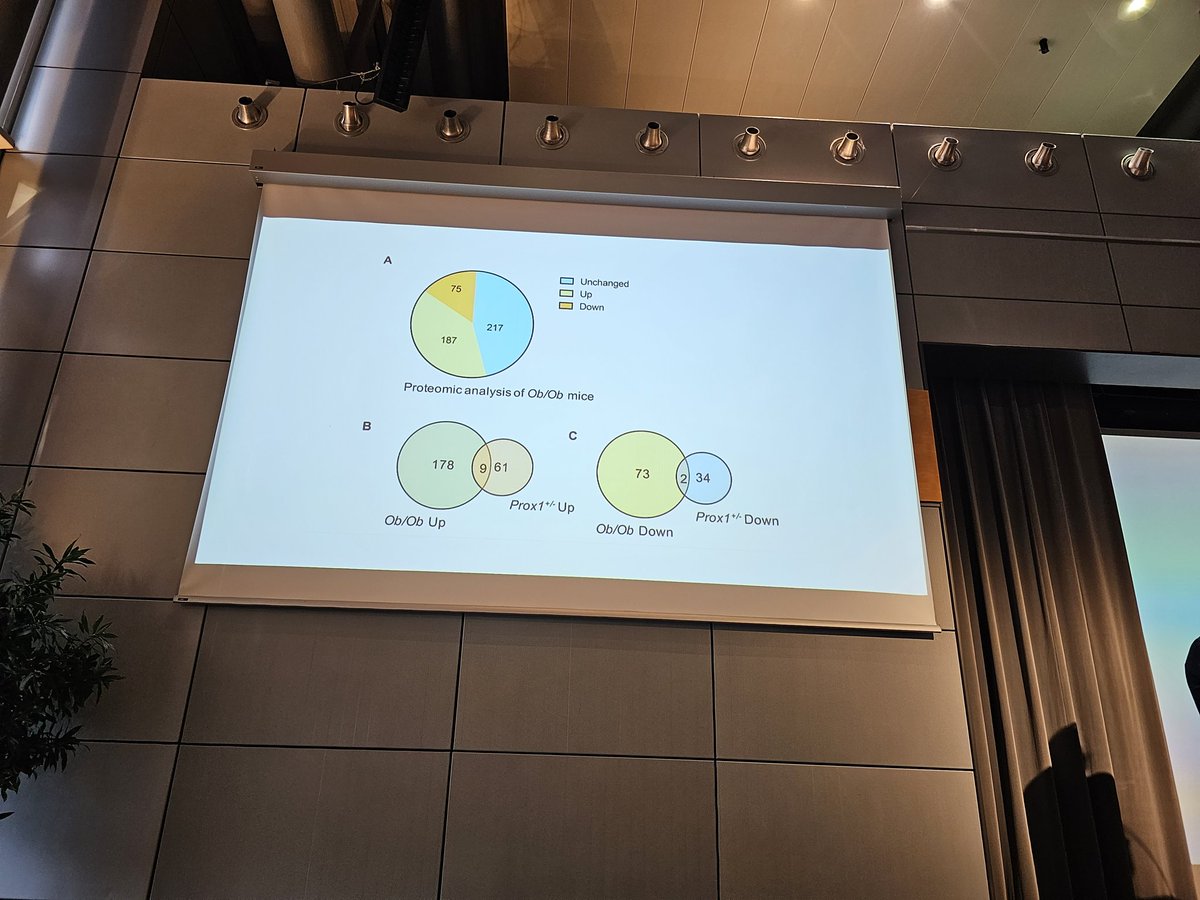 KateFrstr's tweet image. Always inspiring to hear Stanley Rockson talking about PF1 as a biomarker for the implications for #lipedema.
#LipedemaWorldCongress2023 #LipedemaWorldCongress