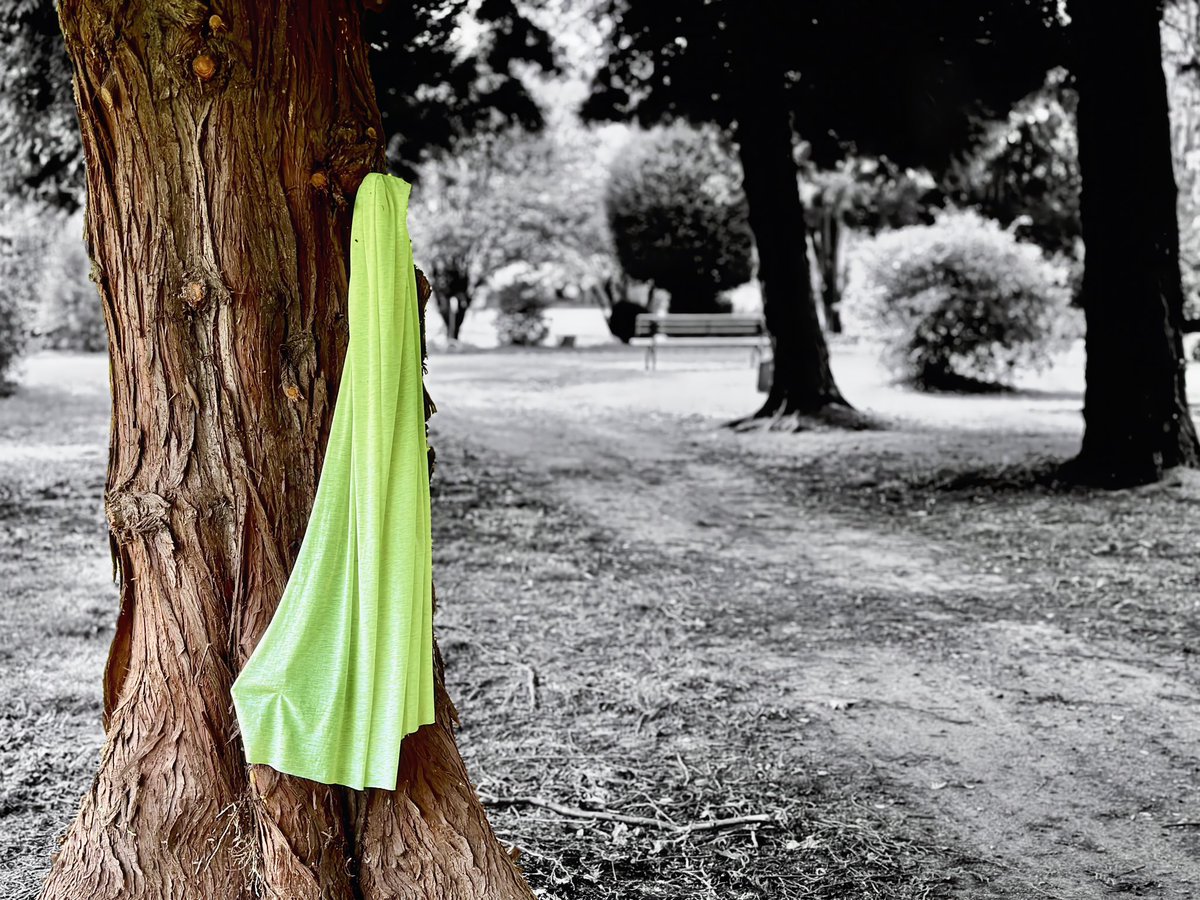 “Never love something so much that you can’t let go of it.” (Ginni Rometty)

#NaturePhotography
#TreeTrunk
#GreenFabric #ParkScenes #OutdoorBeauty #Serenity #EcoFriendly #ArtInNature #CapturedMoments #NatureLovers