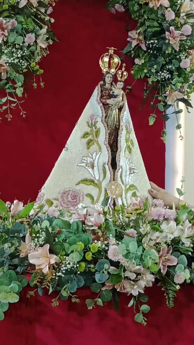 Amanhã vou pro arrastão do pavulagem do Círio de Nazaré, aqui em Belém PA. #JL1 #sextadetremurasdv