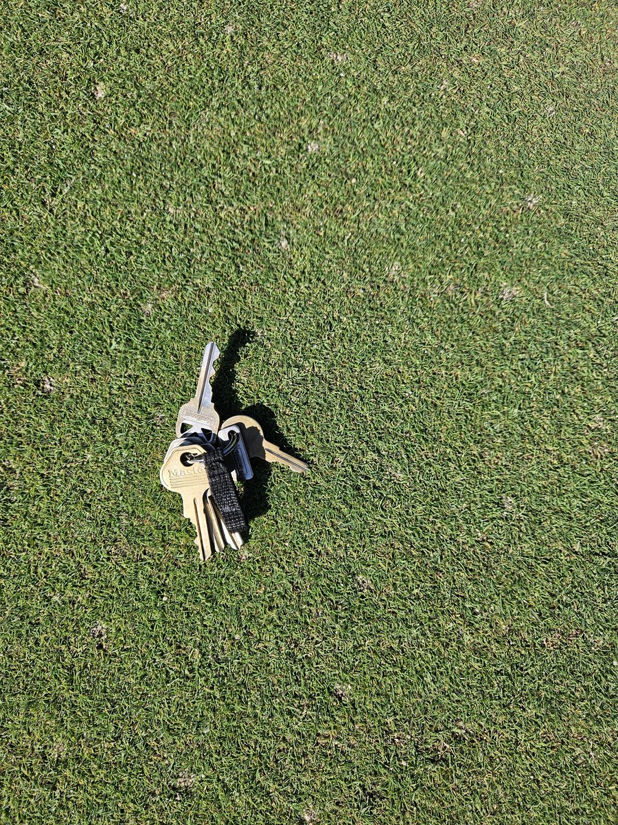 HFTurf's tweet image. 11 days after aerification, perfect weather right now!