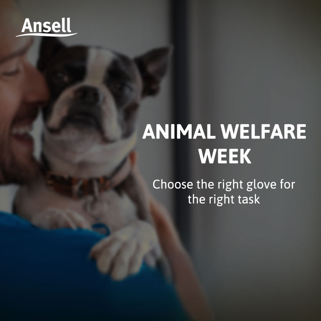 This week, we acknowledge the precision and dedication that enable exceptional pet care through the careful glove selection process. 

Read more: bit.ly/3PZ8W93

#AnsellProtects #AnsellCARES #AnimalWelfareWeek