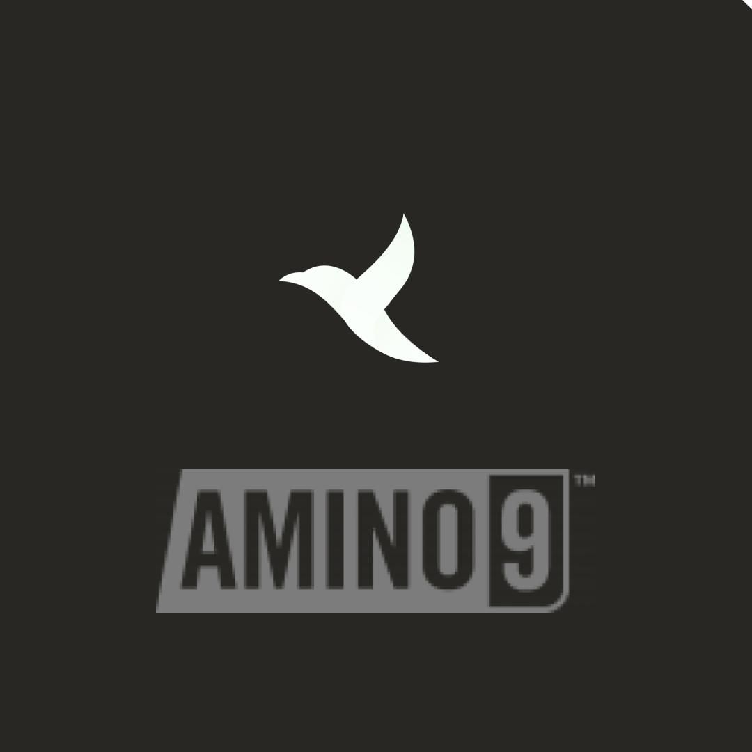 genmagofficial's tweet image. Amino9™ is a cutting-edge blend of all nine essential amino acids (EAAs) designed to help build muscle and increase strength. This patented formula supports faster recovery and helps improve athletic performance. #Amino9 #GenMag