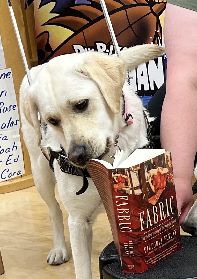 ECADServiceDogs's tweet photo. #Fridayfunnies The dogs continue their education on their litter themes/names 😅🐠🥜🧵
 #TeamTraining #ECADServiceDogs #TGIF #sableisafish #fabrics #patchworkpups #peanut #helpdogshelphumans #namesakes #memes #journeytoindependence #opendoors #changinglives4pawsatatime #outtakes https://t.co/ljh6YuBStu