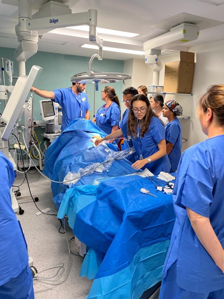 Vall d'Hebron Centre de Simulació Clínica Avançada tweet media