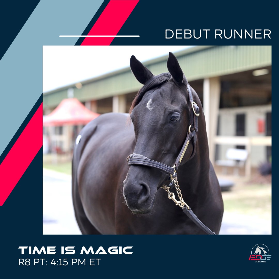 Edge Racing (@edgeracing_) on Twitter photo It's debut day for Time is Magic! 🪄
The 2YO daughter of Not This Time runs in the 8th <a href="/GulfstreamPark/">Gulfstream Park</a> today for trainer <a href="/Kellyjohnbreen/">Kelly Breen</a> & jockey <a href="/SamyCamacho1/">Samy Camacho</a>.
Good luck to all of our #EdgeRacing owners and our partners <a href="/BloomRacing/">Bloom Racing Stable</a>, <a href="/HiddenBrookKy/">Hidden Brook Farm</a>, and The Line Racing. It's debut day for Time is Magic! 🪄
The 2YO daughter of Not This Time runs in the 8th <a href="/GulfstreamPark/">Gulfstream Park</a> today for trainer <a href="/Kellyjohnbreen/">Kelly Breen</a> & jockey <a href="/SamyCamacho1/">Samy Camacho</a>.
Good luck to all of our #EdgeRacing owners and our partners <a href="/BloomRacing/">Bloom Racing Stable</a>, <a href="/HiddenBrookKy/">Hidden Brook Farm</a>, and The Line Racing.