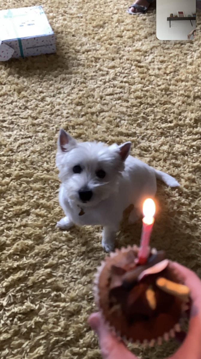 What’s really nice about flexible working is it allows me to take a 25 minute FaceTime in the day to celebrate my dog’s 11th birthday