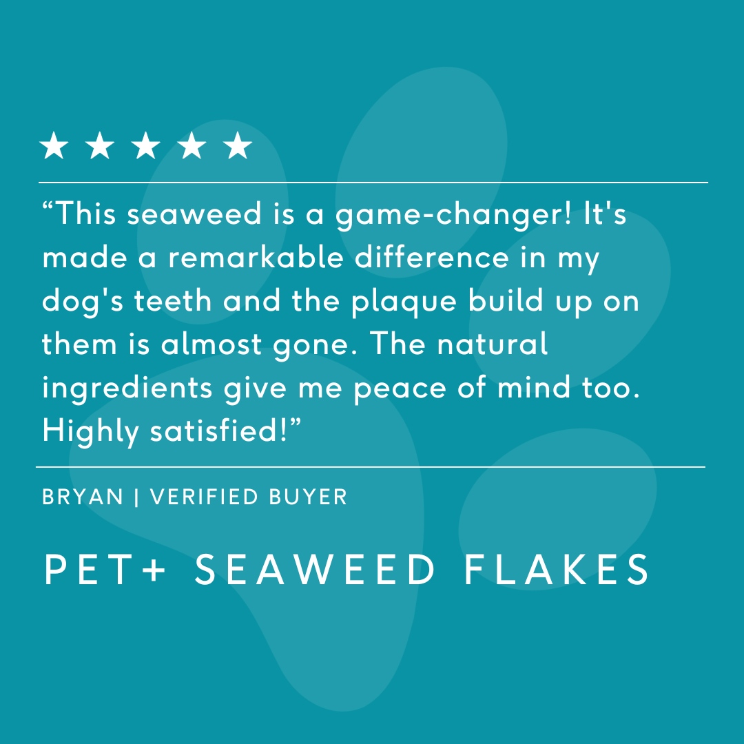 It means so much to us to see all your wonderful reviews of not only our human supplements, but our Pet+ Seaweed Flakes too!