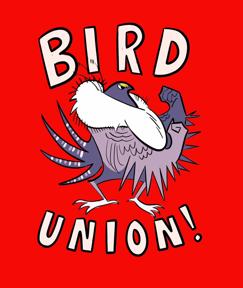thebirdunion's tweet image. NEWS: The NLRB will issue a full complaint against @audubonsociety for all allegations we have made that management has violated federal labor law.

This includes charges that Audubon unilaterally changed our healthcare and withheld new, enhanced benefits from union employees.