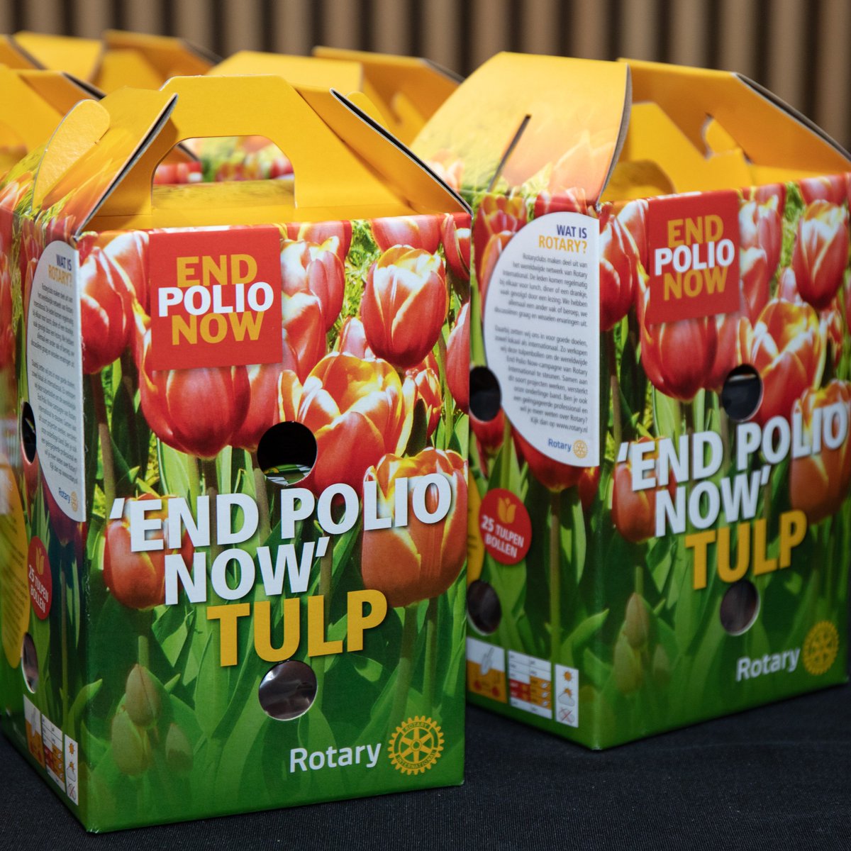 RotaryFR's tweet photo. Le 24 octobre, c'est la Journée mondiale contre la polio 📆 et le compte à rebours est lancé ! 
Il existe des centaines de façons de nous aider à franchir la ligne d'arrivée et à en finir avec la polio. #EndPolio
Impliquez-vous 👉 https://t.co/dFSjuf6XGb https://t.co/L8kmPQkA14