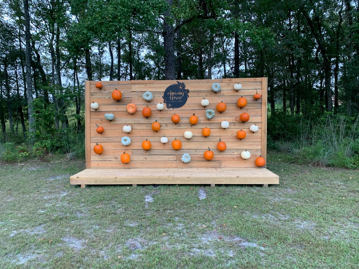 Today's opening day <a href="/AGcropmaze/">AmazingGraceCropMaze</a>! Remember, a portion of all ticket sales will come back to DCT to help with another child's dream, in memory of our sweet Dreamer Levi. Make today amazing, and find time to visit the farm this month. More details at agcropmaze.com/fall.