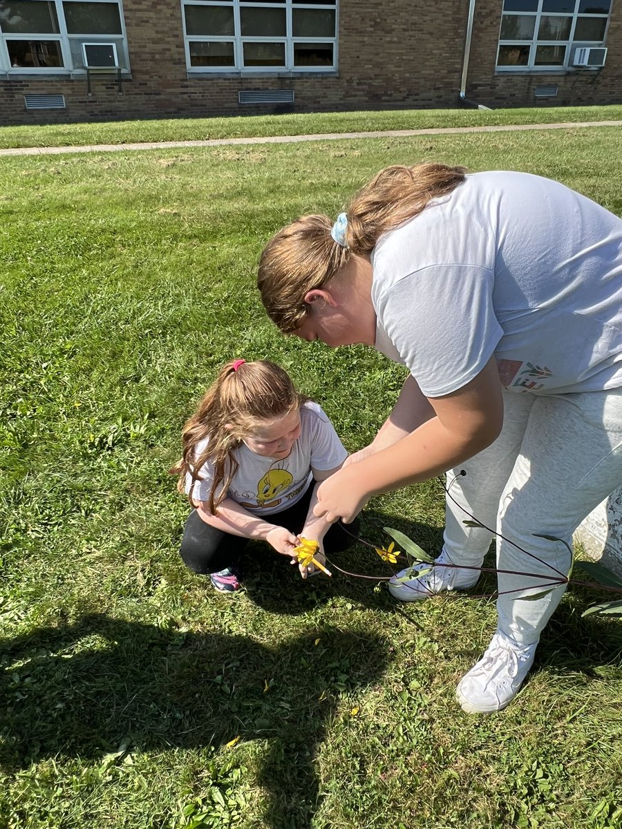 starrsteam's tweet photo. A big thank you to Clay Agricultural &amp; Environmental Technology students and Toledo Zoo educators for helping Starr students out with our fall Bioblitz! @OregonClayFFA @StarrBulldogs @Clay_CareerTech @OSLN #steam #projectprairie #OCSsuccess https://t.co/pOjfOMzvfC