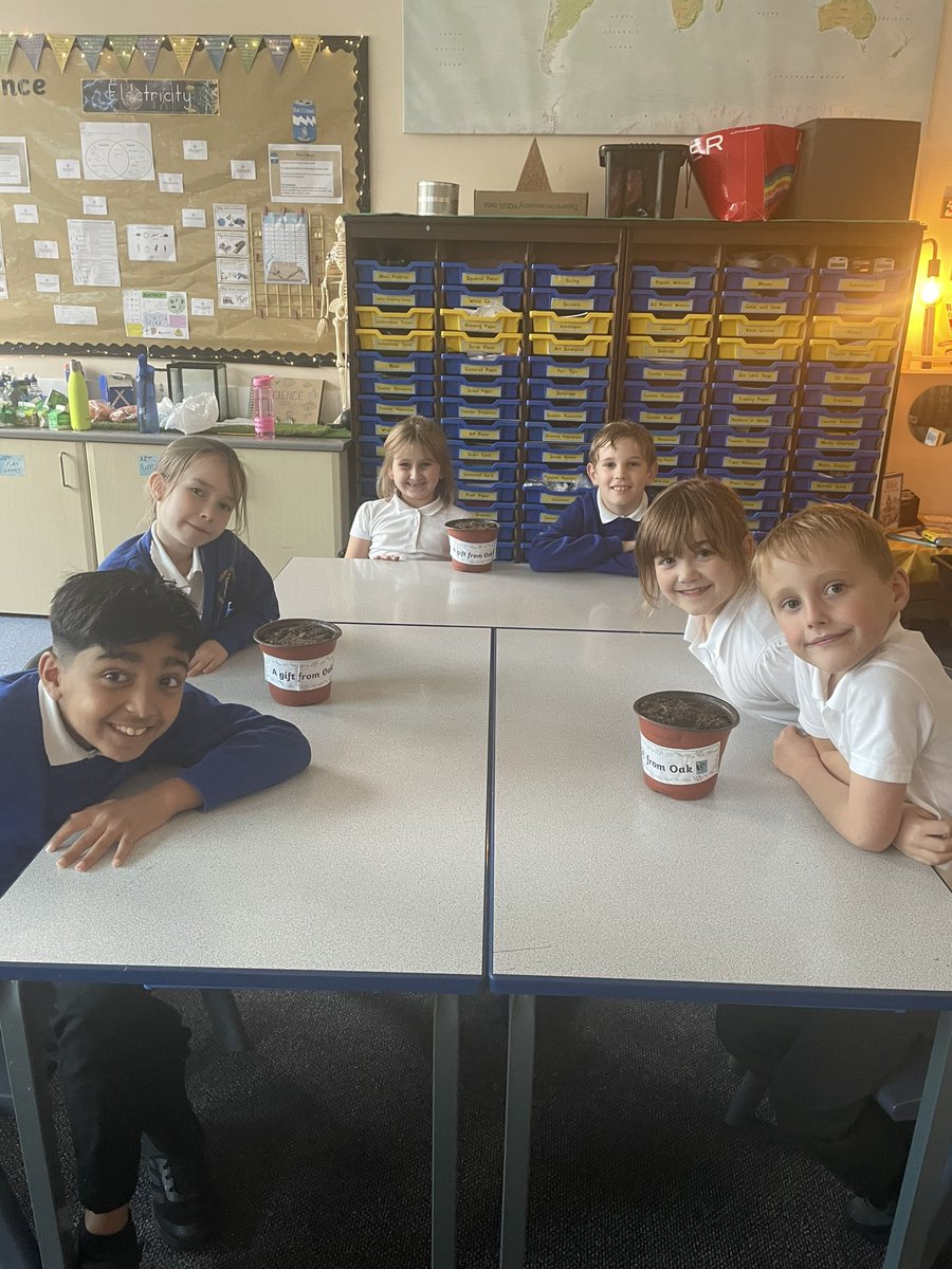 Oak class proudly showing their completed potted Narcissi which they then shared throughout school 😊. #SJKoutdoorlearning #OakClassRule