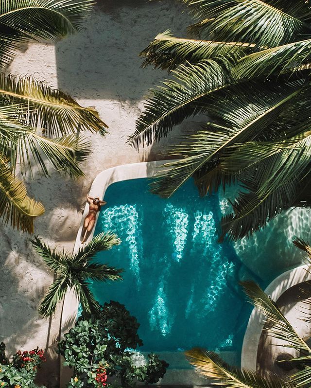 CaribeMexicoBr's tweet photo. Enquanto o outono tinge as folhas das árvores com cores quentes em outras partes do mundo, em Tulum, o Caribe mexicano nos proporciona um outono cheio de sol e maravilhas.
#CaribeMexicano #Tulum #Maravilhas #Outono
📷: amyseder https://t.co/MpRbVNfCcY