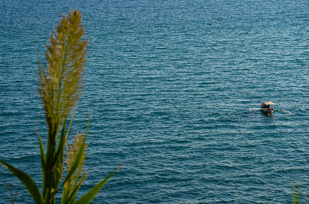 afsolmaz's tweet photo. Postcards that I couldn't send you from a Mediterranean city https://t.co/7l1sXziysB