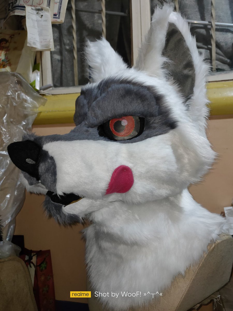 JohnFurry15's tweet photo. Someone suddenly got grumpy after getting their eyelids

Grumpy blep

#FursuitFriday #Fursuitwip https://t.co/SHioZGQJZE