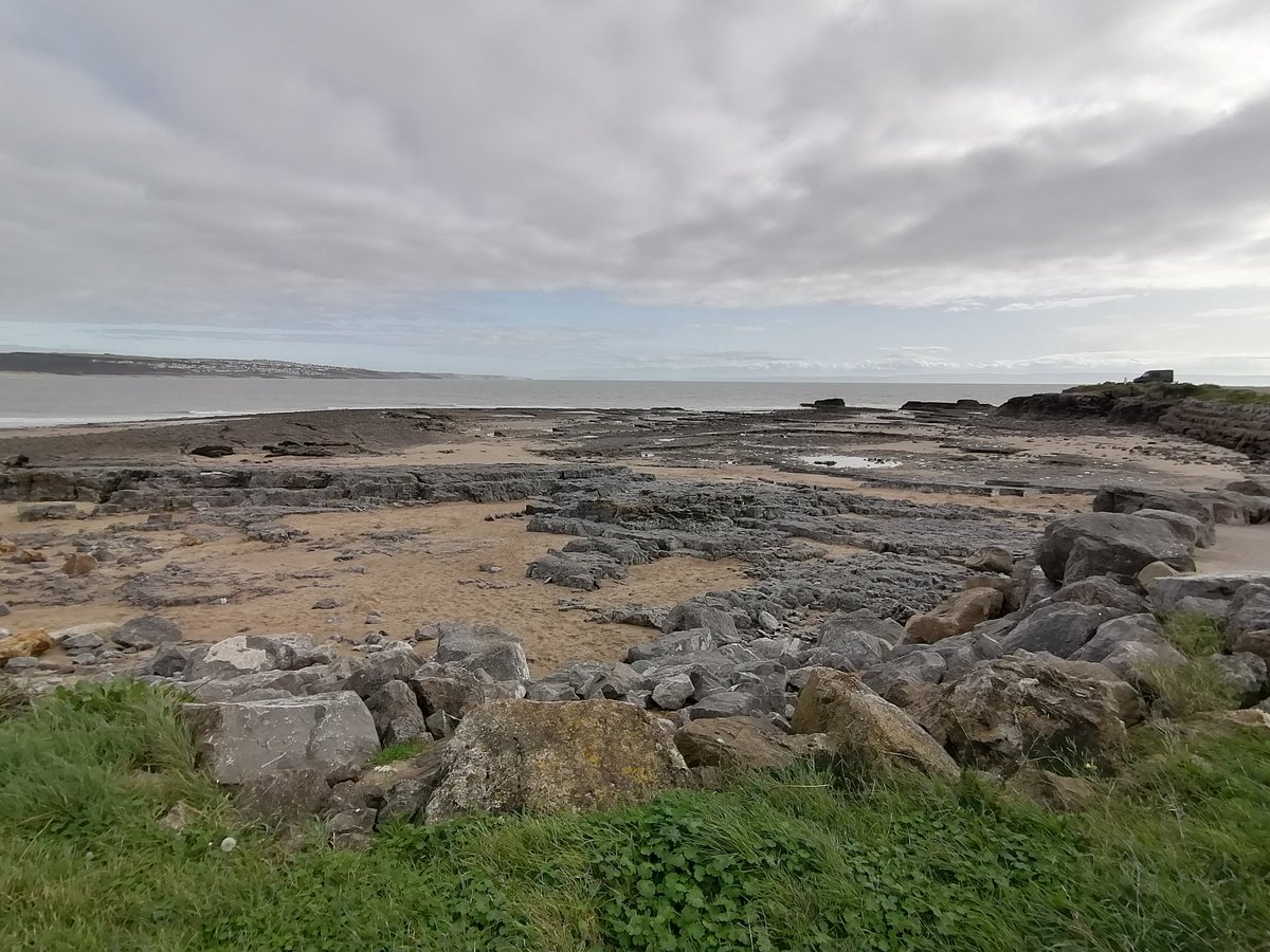 Gavin Perry tweet media