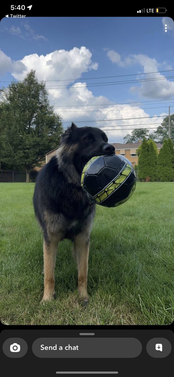Sean Halloran (@seanjhalloran) on Twitter photo Gotta show off my best buddy Apollo, who definitely listened to every <a href="/jasonryanmd/">Jason Ryan</a> video with me during Step 1 dedicated and who’s favorite hobbies are making sure I always wake up at surgery hours no matter the rotation and trying to get <a href="/JonesJordanL/">Jordan Jones, MD</a> to play with him during TNF Gotta show off my best buddy Apollo, who definitely listened to every <a href="/jasonryanmd/">Jason Ryan</a> video with me during Step 1 dedicated and who’s favorite hobbies are making sure I always wake up at surgery hours no matter the rotation and trying to get <a href="/JonesJordanL/">Jordan Jones, MD</a> to play with him during TNF