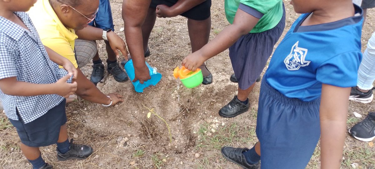 yvette_wilso's tweet photo. White Marl Primary & Infant buzzing with #treeplanting activity this morning #12StandardsMatter #Standard4 @ECCJA @Kelly56Simone https://t.co/EIMqudCORn