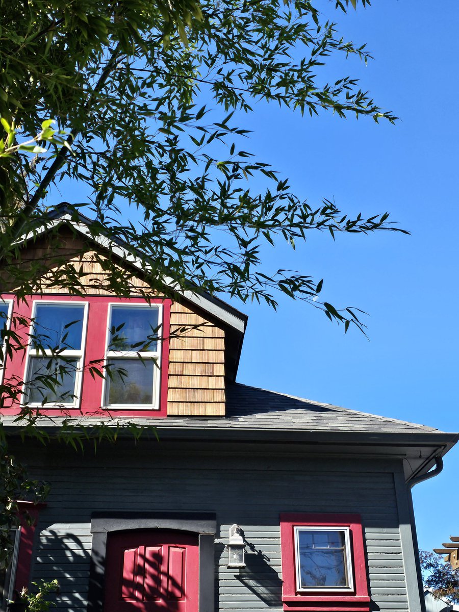 NwRoofTechInc's tweet photo. Loving the colors on this house they really come together as having a new roof makes them look twice as good ☺️ #newroof #stemvents #bluesky #nwrooftech #like #house #roofingservices https://t.co/pZJNrDpf5U