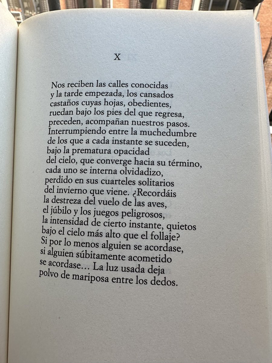De viernes. Con Gil de Biedma y la tarde otoñal. 

“los cansados castaños cuyas hojas, obedientes, ruedan bajo los pies del que regresa”