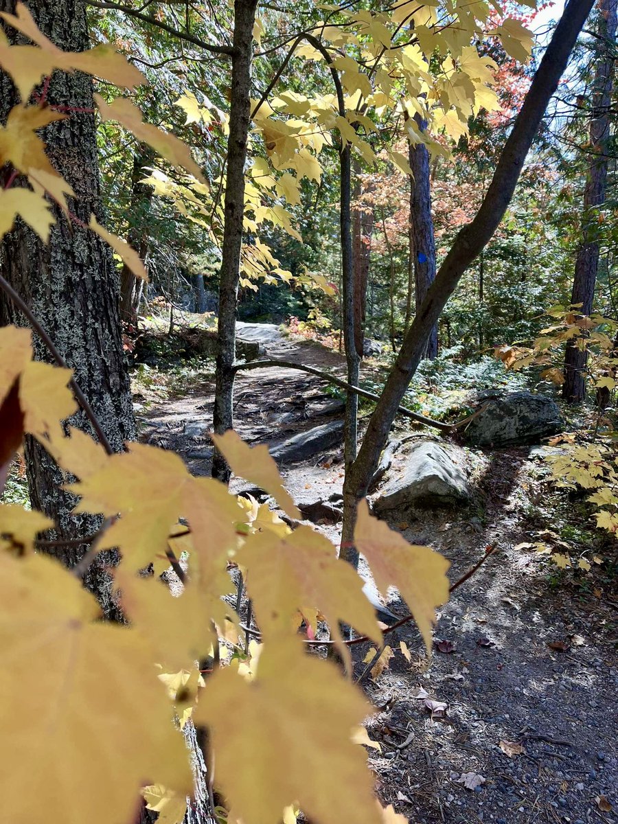 Thinking of a fun weekend getaway? This thanksgiving weekend we have both electrical and non-electrical sites available for booking from Friday-Monday! 🍂

We look forward to seeing you! ⛺️

#fallcolours #fallcamping #nature #chutesprovpark #ontarioparksne #ontarioparks