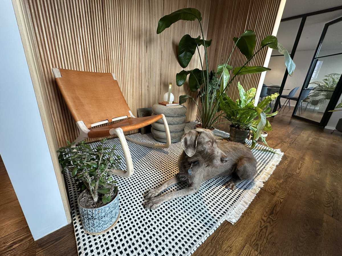 Roughing it at the <a href="/forepartnership/">FORE Partnership</a> office today. 

#fridays #dogdays #futureofrealestate