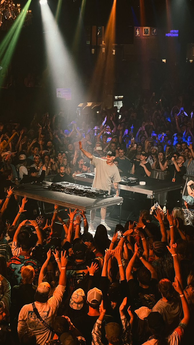 Festive Owl tweet media