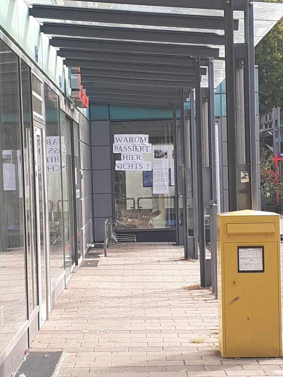 Berg Fidel Solidarisch tweet media