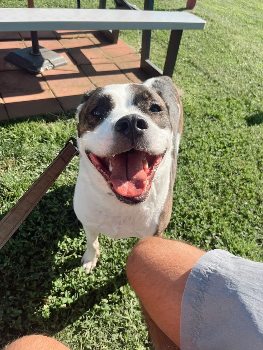 BarstoolWCU's tweet image. Smiling because we’re gonna beat Chat this weekend!!! #goodboyfriday