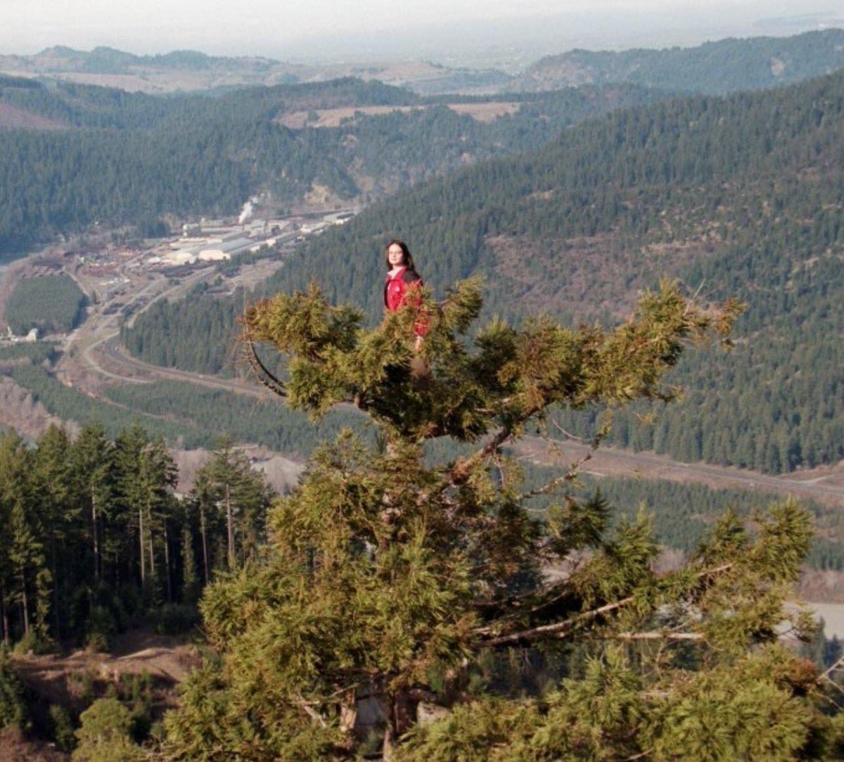 Oh this is an option?

“On December 10, 1997 Julia Hill climbed a 1500-year-old redwood tree named Luna and she didn’t come down for another 738 days.”