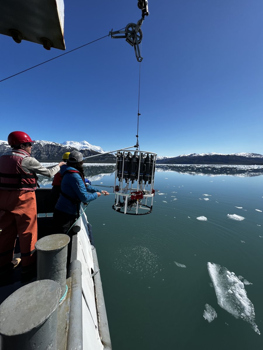 This week we are running @AlaskaNPS samples from Lig̲aasi Áa (Icy Bay).  🌊🏔️🚢
Dr. Jenn Q. is pairing her research on zooplankton with the carbonate chemistry.
#FieldworkFriday #OceanAcidification