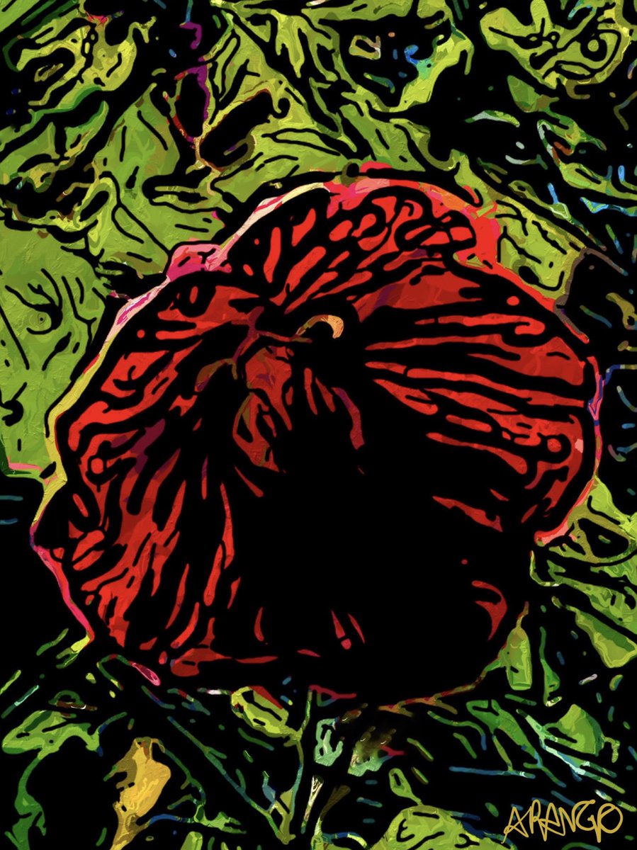 Rojo Flor !
arango.xyz
#flower #redflower #nature #red #redandgreen #art #digitalart #everydayart