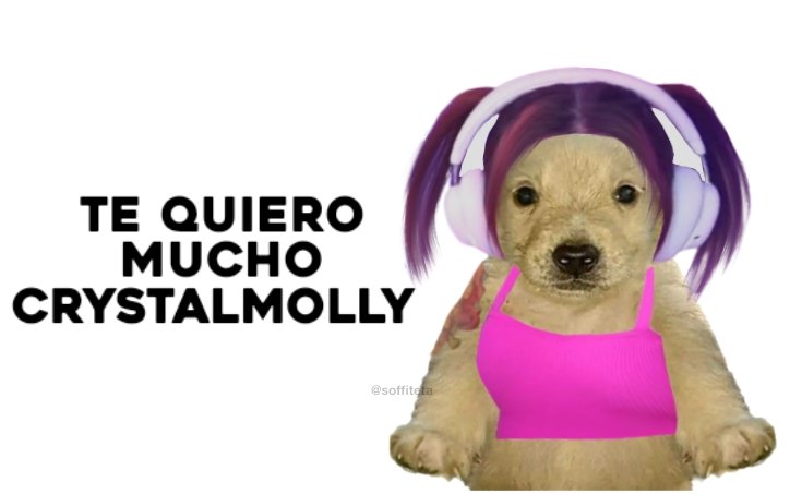 misssicaria's tweet photo. @MovistareSports @CrystalMollyTTV @MollyUpdate_ JARRIBAAAAA 🥳 https://t.co/kDhcPQkmwt