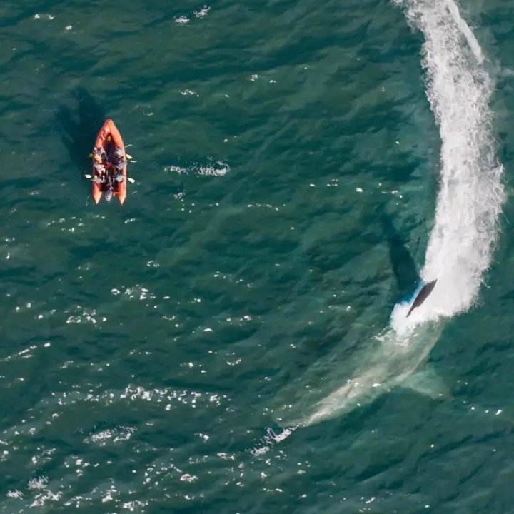 ClimateFilmFest tweet media