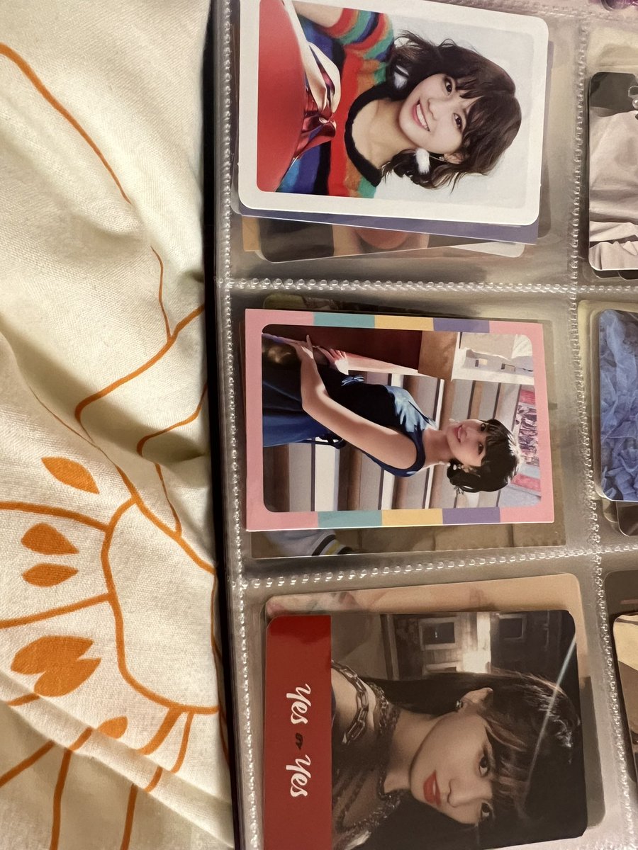 トラ🐯 tweet media