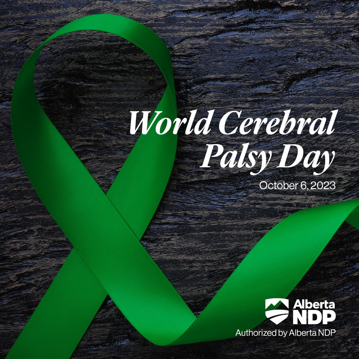 It's #WorldCerebralPalsyDay. We see the challenges faced by our neighbors, friends & loved ones with CP. We could all use a more accessible world. Let's end discrimination faced by children & adults with CP. We love you, you matter. #GlowGreenForCP cpalberta.com