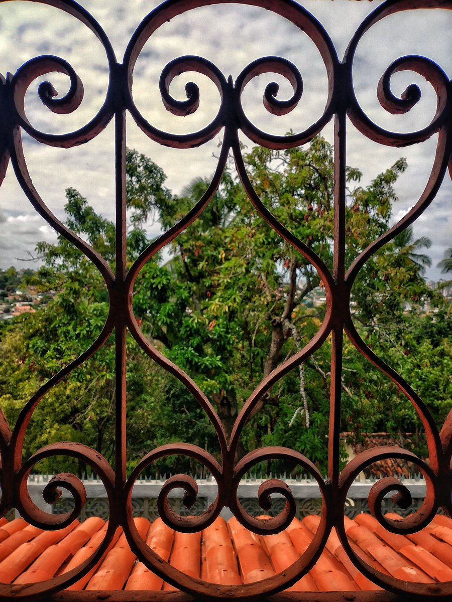...
GM 🙋🏾‍♂️

A railing that I hadn't seen before in São Luís. I found this beauty in a 17th century convent in Olinda. Among many other beauties, the convent of the Dorothean sisters has a very beautiful chapel and I'll try to photograph it over the next few days.