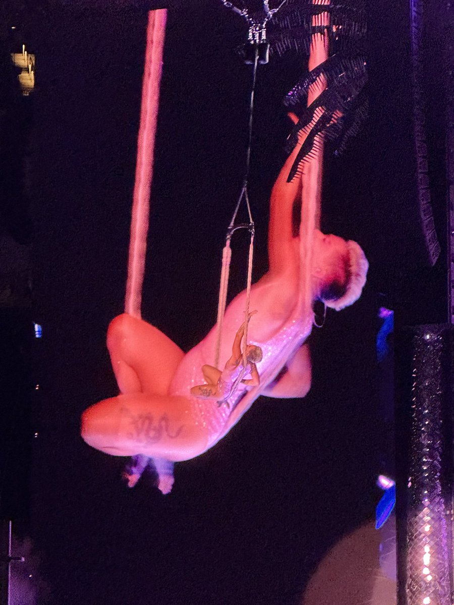 I’ll forever remember last night <a href="/Pink/">P!nk</a> 

Thank you for sharing your talents and beauty with us all